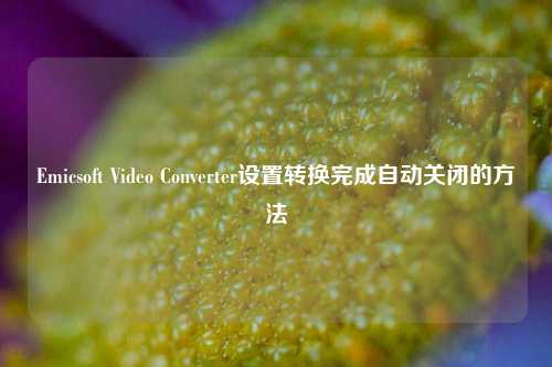 Emicsoft Video Converter设置转换完成自动关闭的方法