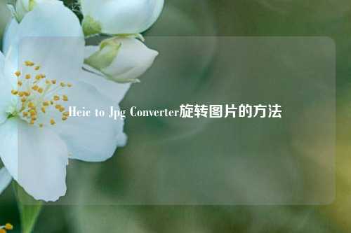 Heic to Jpg Converter旋转图片的方法