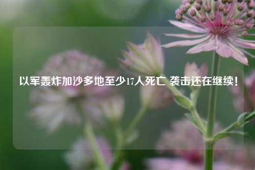 以军轰炸加沙多地至少17人死亡 袭击还在继续！