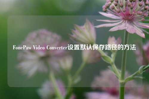 FonePaw Video Converter设置默认保存路径的方法