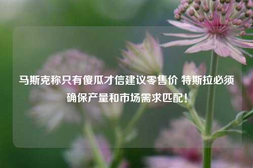 马斯克称只有傻瓜才信建议零售价 特斯拉必须确保产量和市场需求匹配！