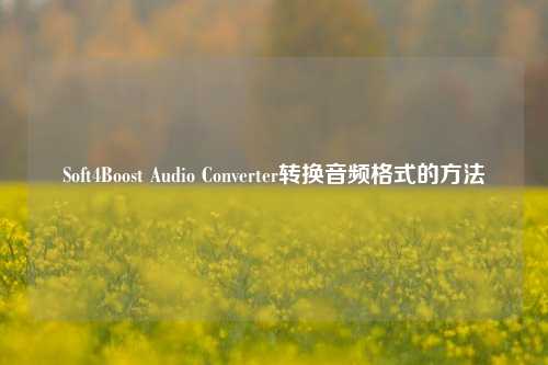 Soft4Boost Audio Converter转换音频格式的方法