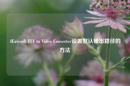 4Easysoft FLV to Video Converter设置默认输出路径的方法