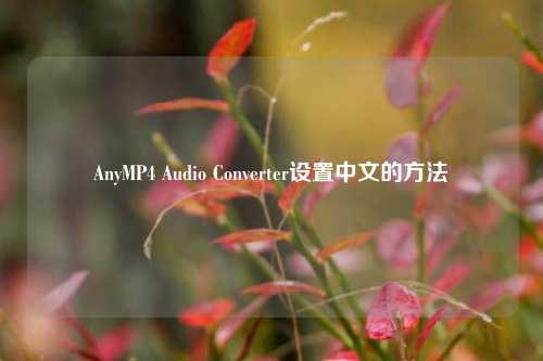 AnyMP4 Audio Converter设置中文的方法