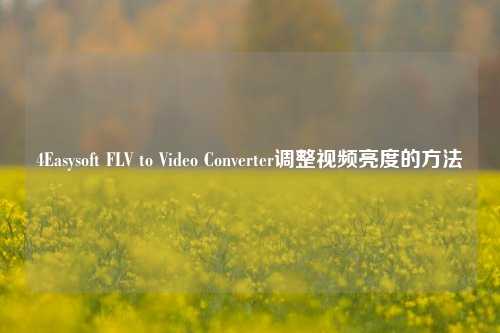 4Easysoft FLV to Video Converter调整视频亮度的方法