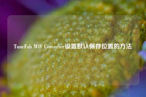 TuneFab M4V Converter设置默认保存位置的方法