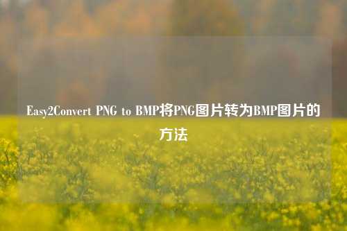 Easy2Convert PNG to BMP将PNG图片转为BMP图片的方法