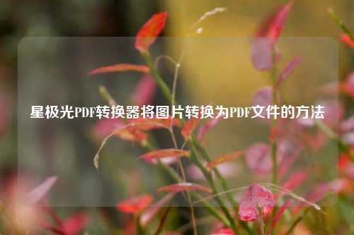 星极光PDF转换器将图片转换为PDF文件的方法