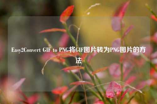 Easy2Convert GIF to PNG将GIF图片转为PNG图片的方法