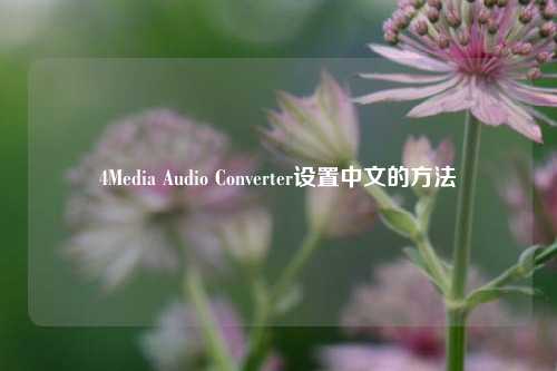 4Media Audio Converter设置中文的方法