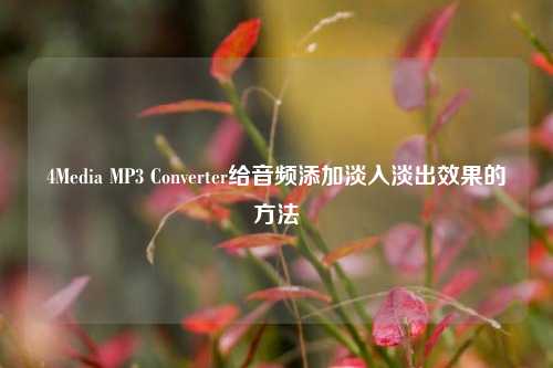 4Media MP3 Converter给音频添加淡入淡出效果的方法