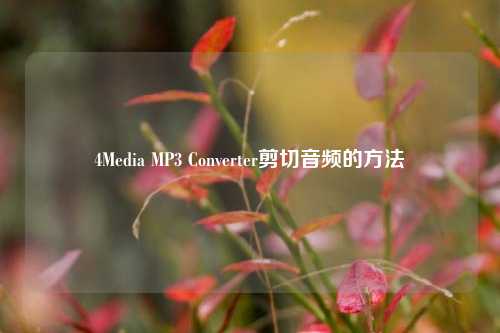 4Media MP3 Converter剪切音频的方法