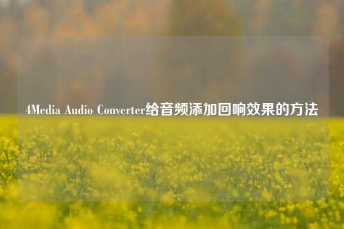 4Media Audio Converter给音频添加回响效果的方法