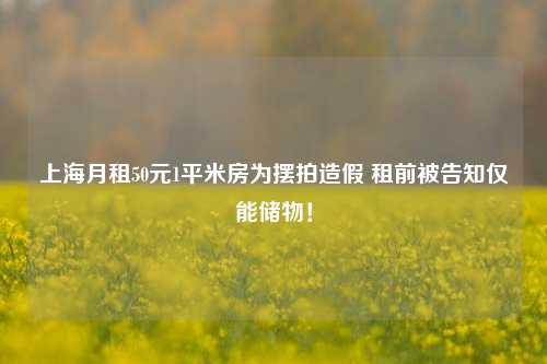 上海月租50元1平米房为摆拍造假 租前被告知仅能储物！