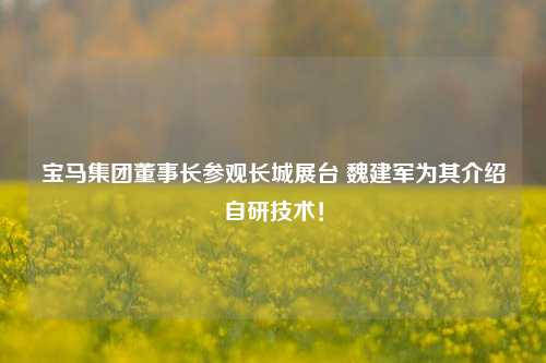 宝马集团董事长参观长城展台 魏建军为其介绍自研技术！