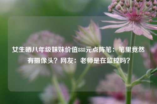 女生晒八年级妹妹价值888元点阵笔：笔里竟然有摄像头？网友：老师是在监控吗？