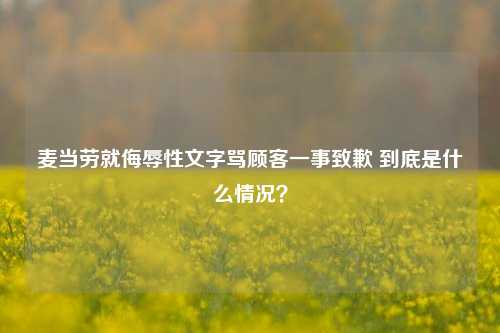 麦当劳就侮辱性文字骂顾客一事致歉 到底是什么情况？