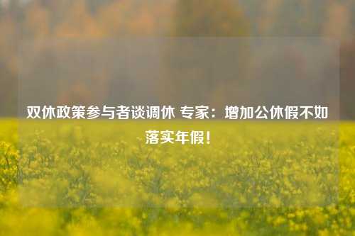 双休政策参与者谈调休 专家：增加公休假不如落实年假！