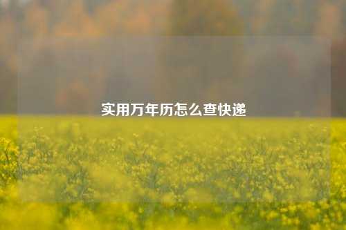 实用万年历怎么查快递