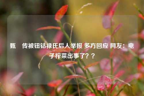 甄嬛传被钮钴禄氏后人举报 多方回应 网友：电子榨菜出事了？？