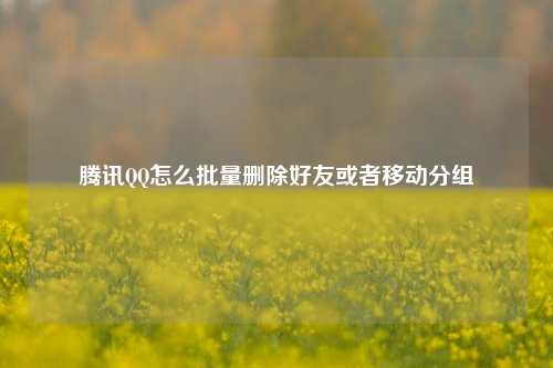 腾讯QQ怎么批量删除好友或者移动分组