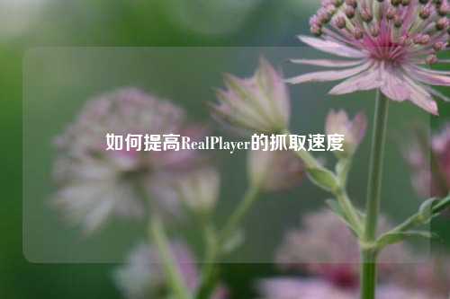 如何提高RealPlayer的抓取速度