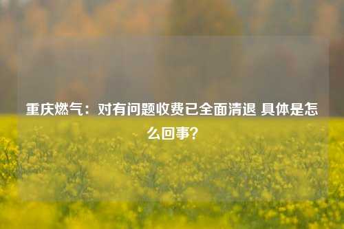 重庆燃气：对有问题收费已全面清退 具体是怎么回事？