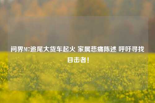 问界M7追尾大货车起火 家属悲痛陈述 呼吁寻找目击者！