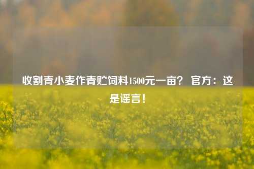 收割青小麦作青贮饲料1500元一亩？ 官方：这是谣言！