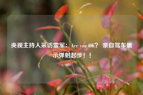 央视主持人采访雷军：Are you OK？ 亲自驾车展示弹射起步！！