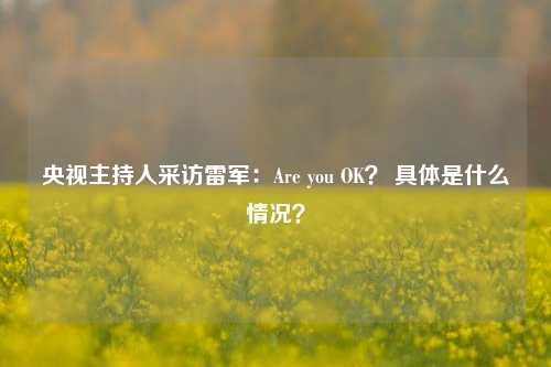 央视主持人采访雷军：Are you OK？ 具体是什么情况？