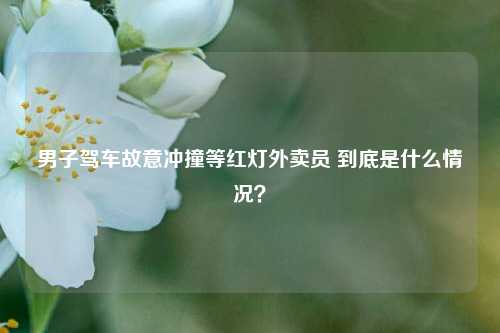 男子驾车故意冲撞等红灯外卖员 到底是什么情况？