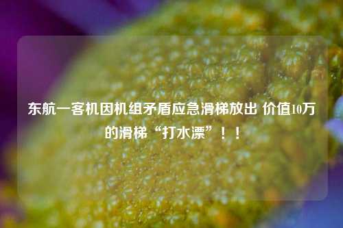 东航一客机因机组矛盾应急滑梯放出 价值10万的滑梯“打水漂”！！