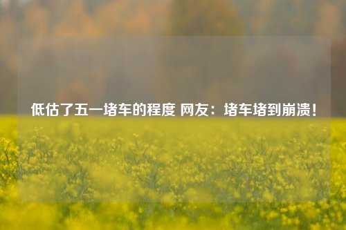 低估了五一堵车的程度 网友：堵车堵到崩溃！