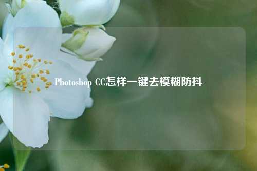 Photoshop CC怎样一键去模糊防抖