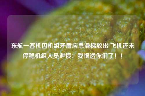 东航一客机因机组矛盾应急滑梯放出 飞机还未停稳机组人员泄愤：我恨透你们了！！