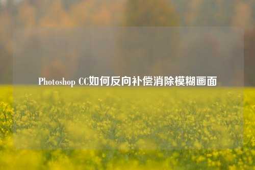 Photoshop CC如何反向补偿消除模糊画面