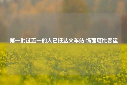 第一批过五一的人已抵达火车站 场面堪比春运