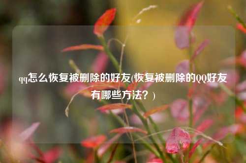 qq怎么恢复被删除的好友(恢复被删除的QQ好友有哪些方法？)