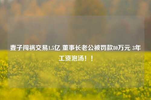 妻子闯祸交易1.5亿 董事长老公被罚款80万元 3年工资泡汤！！