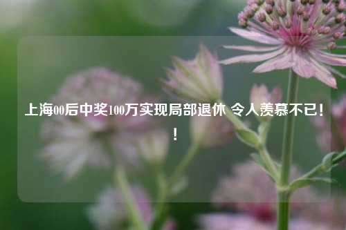 上海00后中奖100万实现局部退休 令人羡慕不已！！