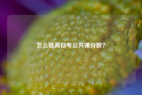 怎么提高自考公共课分数？