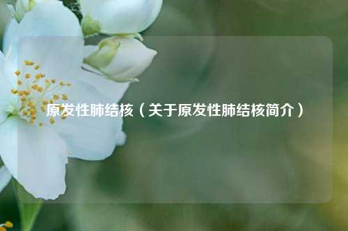 原发性肺结核（关于原发性肺结核简介）