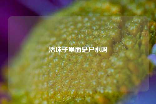 活珠子里面是尸水吗