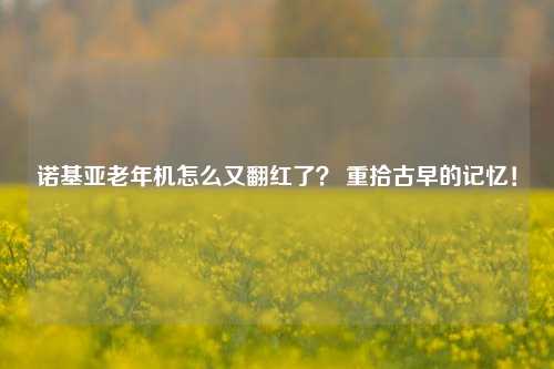 诺基亚老年机怎么又翻红了？ 重拾古早的记忆！