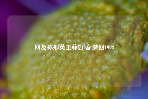 网友称那英王菲好嗑 梦回1998