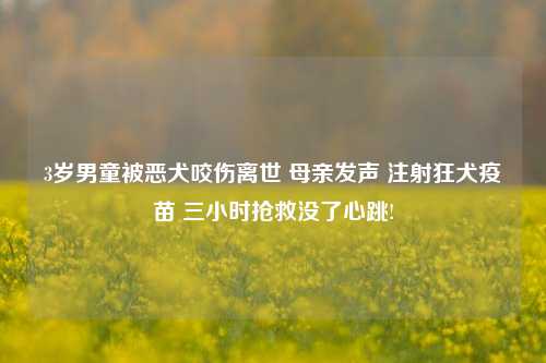 3岁男童被恶犬咬伤离世 母亲发声 注射狂犬疫苗 三小时抢救没了心跳!