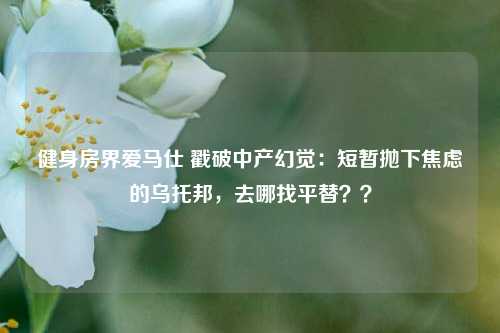 健身房界爱马仕 戳破中产幻觉：短暂抛下焦虑的乌托邦，去哪找平替？？