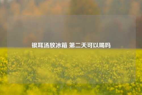 银耳汤放冰箱 第二天可以喝吗