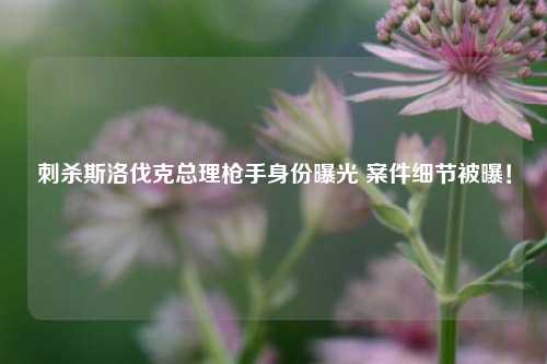 刺杀斯洛伐克总理枪手身份曝光 案件细节被曝！